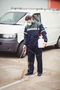 Pest Extermination